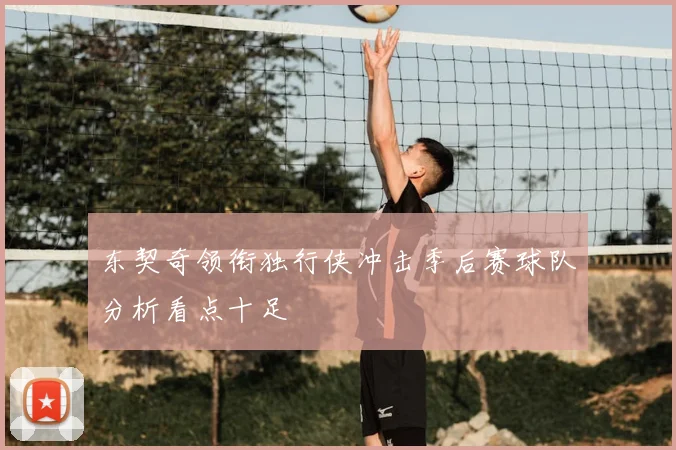东契奇领衔独行侠冲击季后赛球队分析看点十足