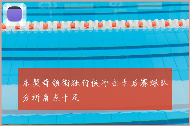 东契奇领衔独行侠冲击季后赛球队分析看点十足