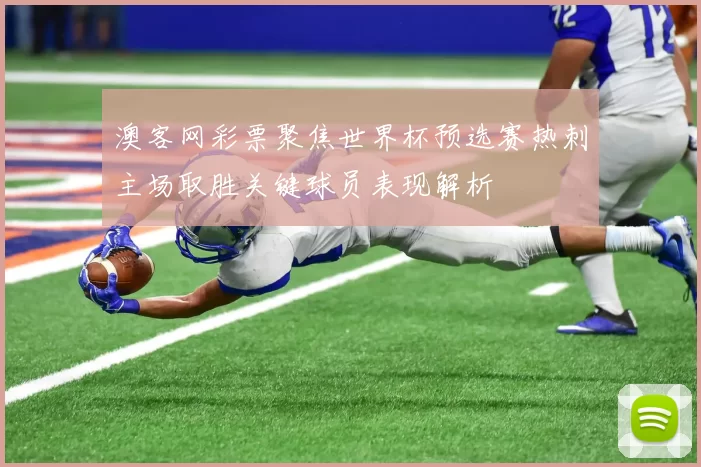 澳客网彩票聚焦世界杯预选赛热刺主场取胜关键球员表现解析